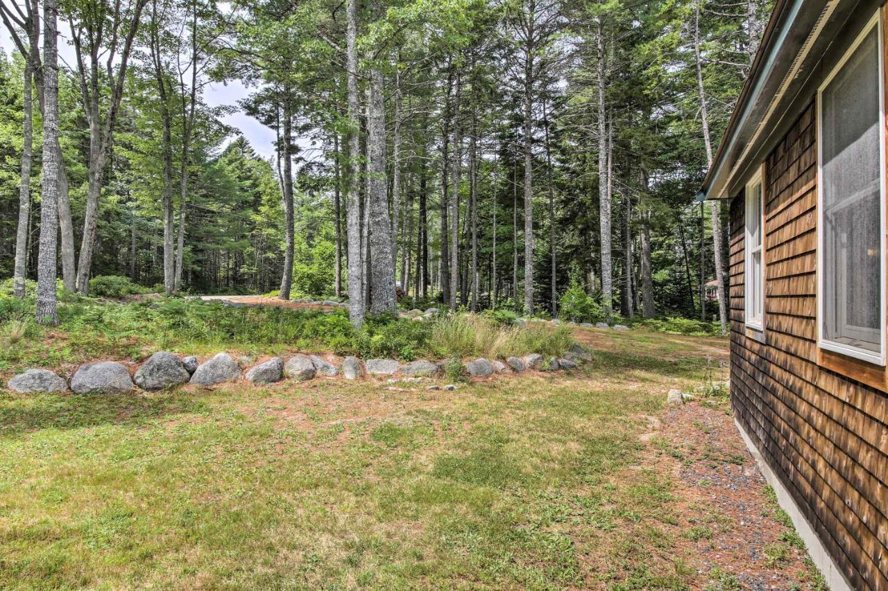 Hidden Gem Cottage Near Blue Hill Peninsula Brooklin Buitenkant foto