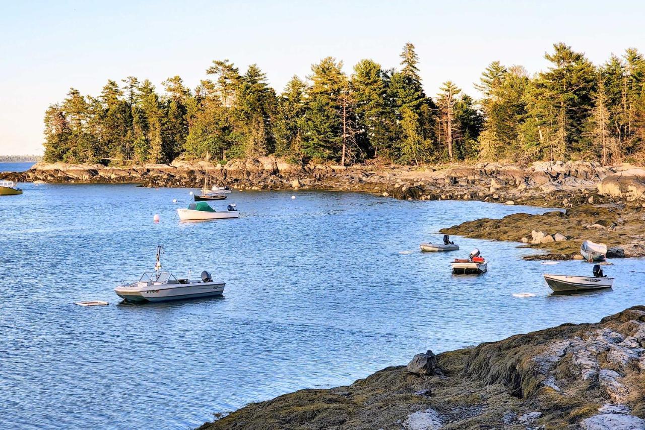 Hidden Gem Cottage Near Blue Hill Peninsula Brooklin Buitenkant foto