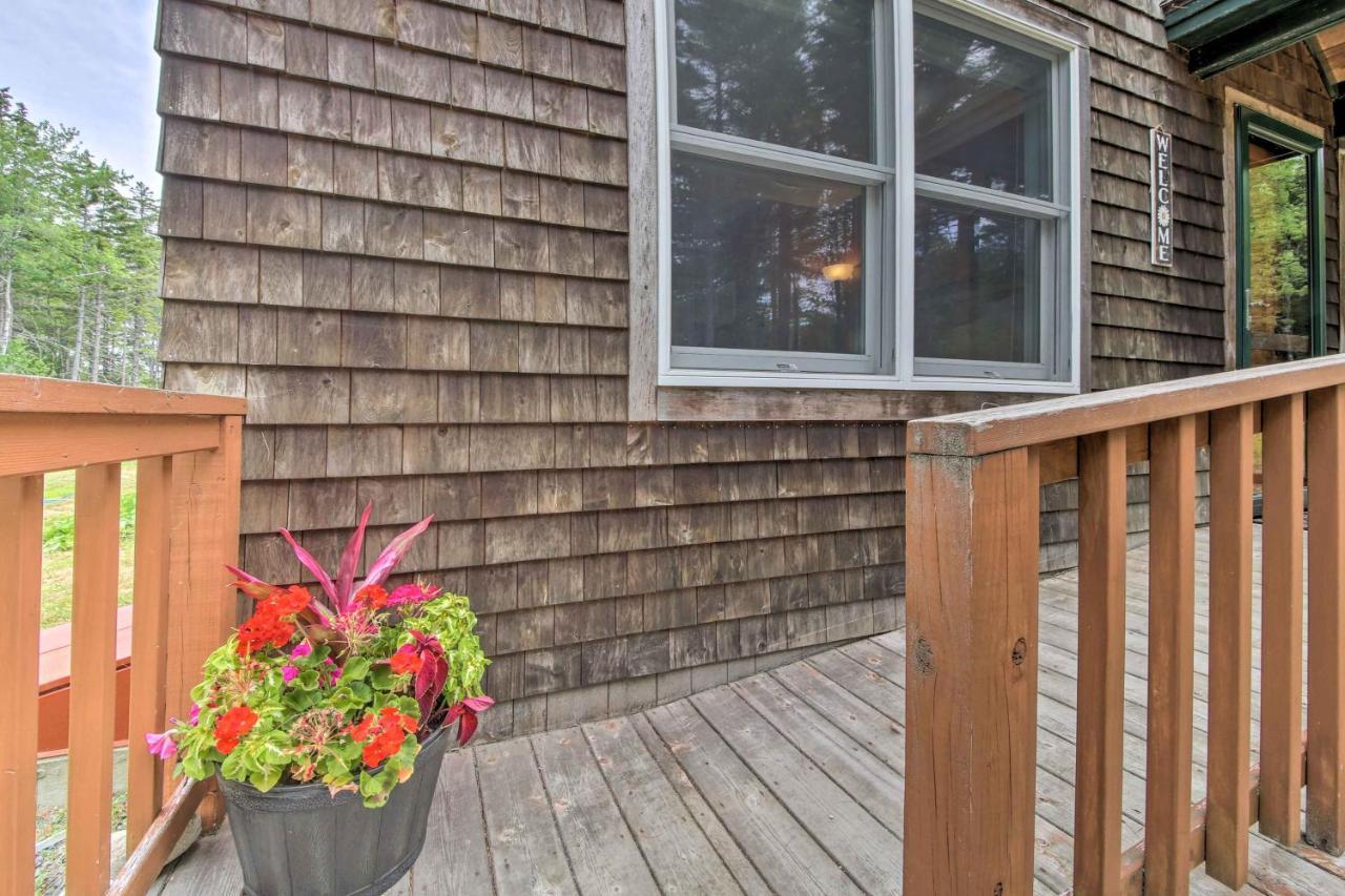 Hidden Gem Cottage Near Blue Hill Peninsula Brooklin Buitenkant foto