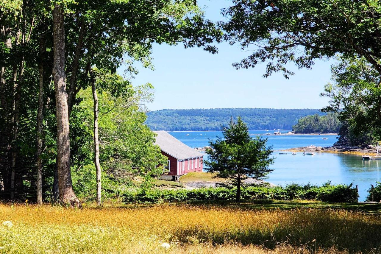 Hidden Gem Cottage Near Blue Hill Peninsula Brooklin Buitenkant foto